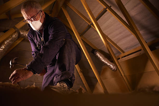 Insulation Repair Services in Window Rock, AZ